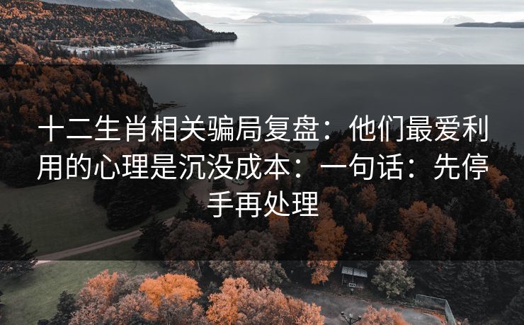 十二生肖相关骗局复盘:他们最爱利用的心理是沉没成本:一句话:先停手再处理 十二生肖相关骗局复盘:他们最爱利用的心理是沉没成本:一句话:先停手再处理