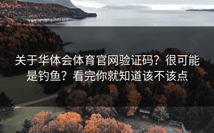 关于华体会体育官网验证码?很可能是钓鱼?看完你就知道该不该点 关于华体会体育官网验证码?很可能是钓鱼?看完你就知道该不该点