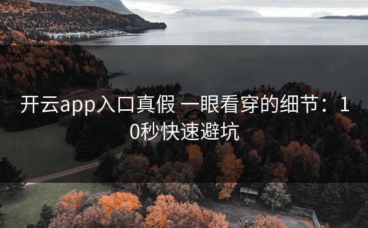 开云app入口真假 一眼看穿的细节：10秒快速避坑