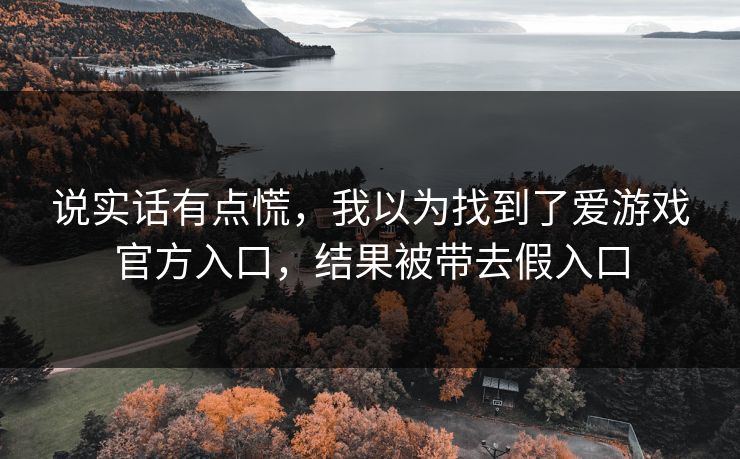 说实话有点慌，我以为找到了爱游戏官方入口，结果被带去假入口